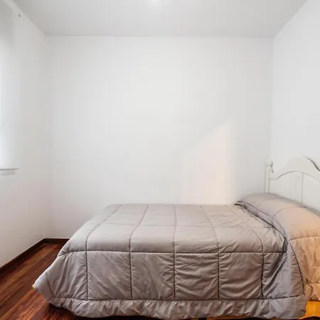 Atico Centrico Con Terrazas 公寓 *