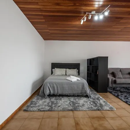 Atico Centrico Con Terrazas * 蒙福特·德·莱蒙斯