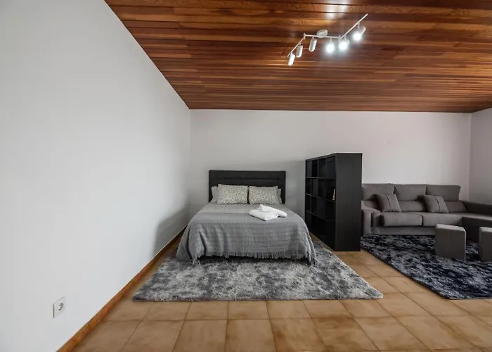 Atico Centrico Con Terrazas * Monforte De Lemos