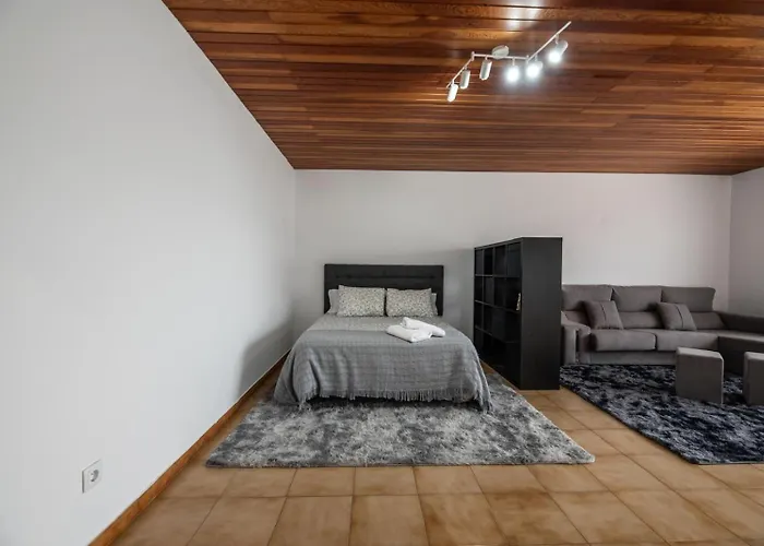 Atico Centrico Con Terrazas * Monforte De Lemos